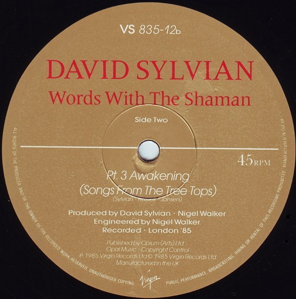 David Sylvian , Jon Hassell • Steve Jansen , Holger Czukay - Words With The Shaman | Virgin (VS 835-12) - 4