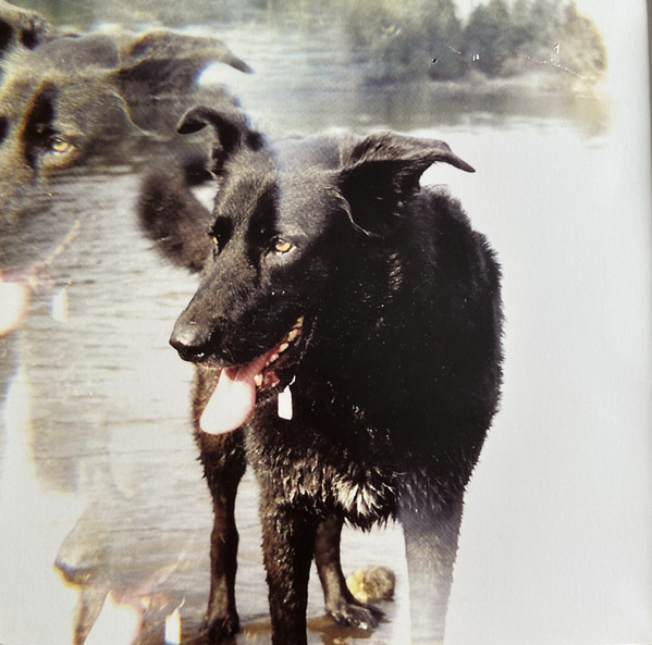 Do Make Say Think - You, You're A History In Rust | Constellation (CST 045-1) - 3