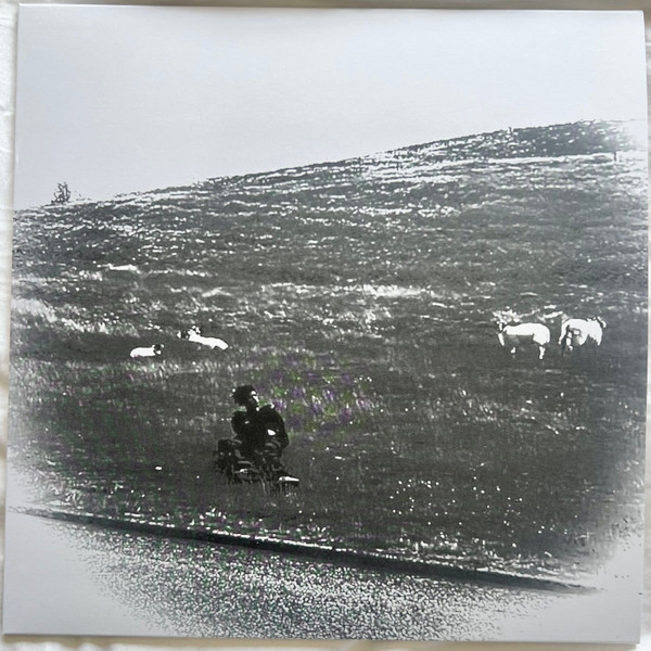 Pretty V - Destiny of Illusion | life is beautiful records (lib013)