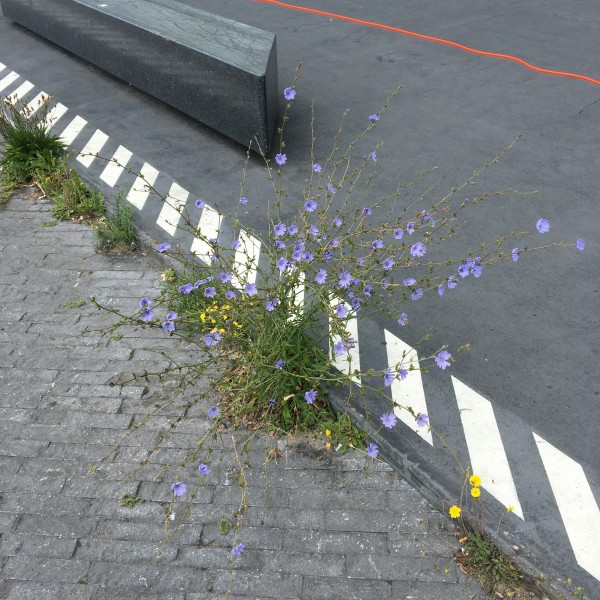 Upsammy - Bend | Dekmantel (DKMNTL087)