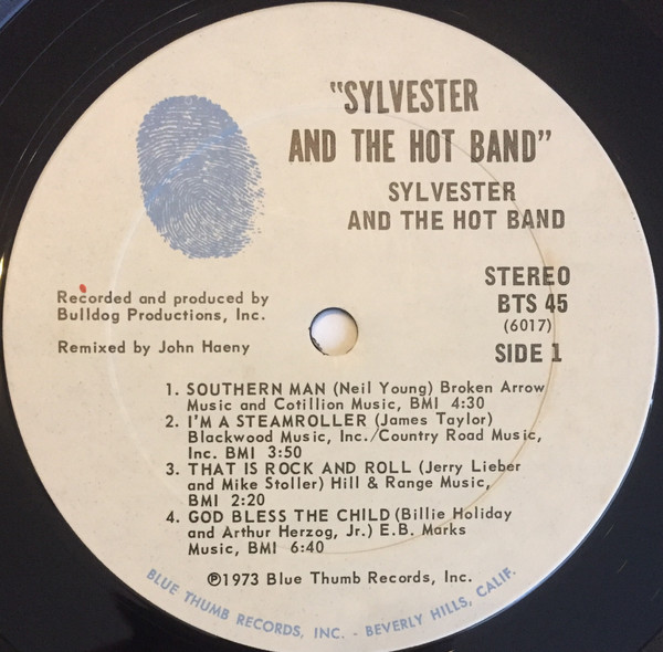 Sylvester And The Hot Band - Sylvester And The Hot Band | Blue Thumb Records (BTS 45) - 2