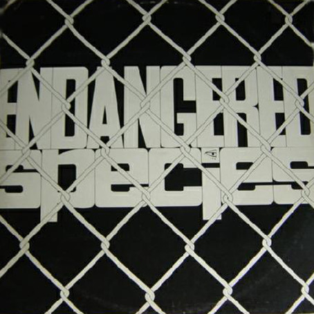 Endangered Species - Endangered Music | V4 Visions (12 VIS E.P.1) - main