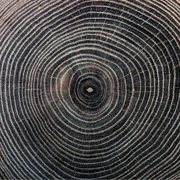 Roi Azulay - Satori EP | Sacred Rhythm Music (SRM 233-1)