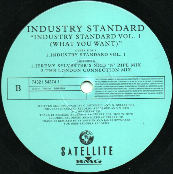Industry Standard - Industry Standard Vol. 1 (What You Want) | Satellite (74321 54374 1) - 4