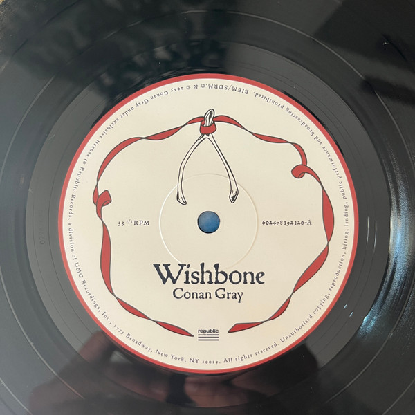 Conan Gray - Wishbone | Republic Records (00602478392320) - 4 Conan Gray - Wishbone | Republic Records (00602478392320) - 4