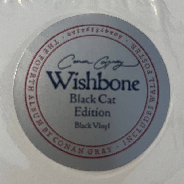 Conan Gray - Wishbone | Republic Records (00602478392320) - 3 Conan Gray - Wishbone | Republic Records (00602478392320) - 3