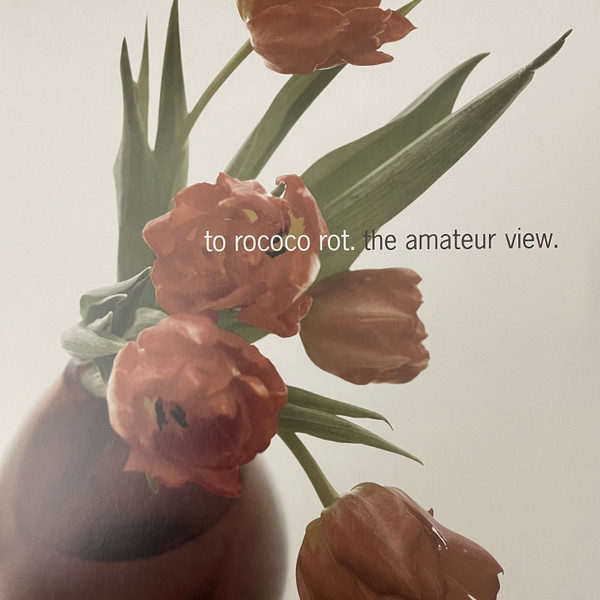 To Rococo Rot - The Amateur View | City Slang (slang50596lp)