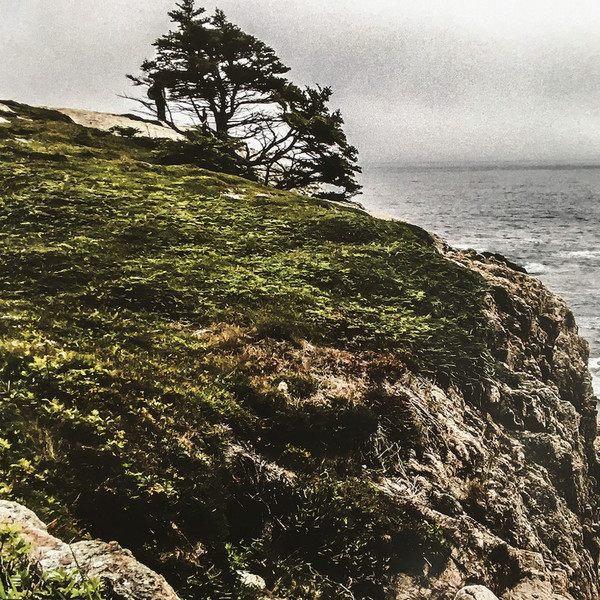 Thisquietarmy - The Body And The Earth | Consouling Sounds (SOULCX) - 2