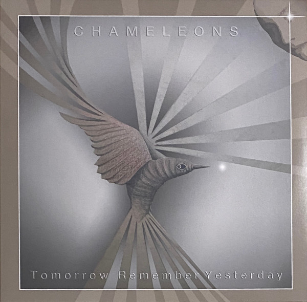 The Chameleons - Tomorrow Remember Yesterday | Strange Times Entertainment LLC (STRANGE002)