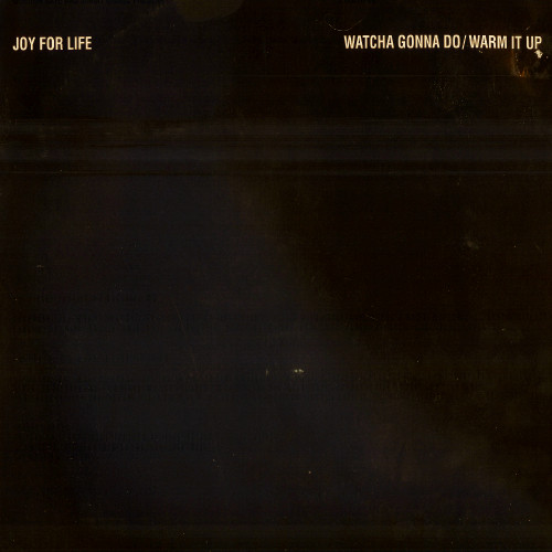 Joy For Life - Watcha Gonna Do / Warm It Up | Stress Records (12STR 70) - main