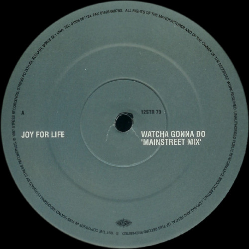 Joy For Life - Watcha Gonna Do / Warm It Up | Stress Records (12STR 70) - 2