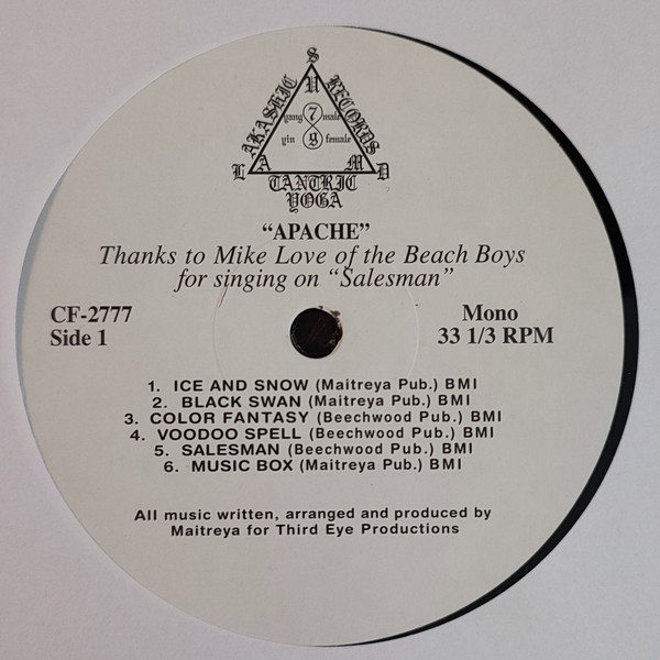 Satya Sai Maitreya Kali - Apache | Akashic Records (CF-2777) - 3