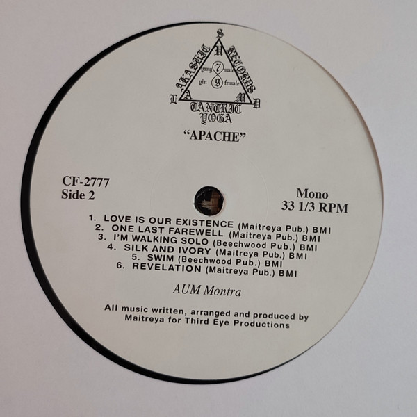 Satya Sai Maitreya Kali - Apache | Akashic Records (CF-2777) - 4