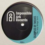Examples Of Twelves - The Way Things Were | Impossible Ark Records (IALP 001) - 3