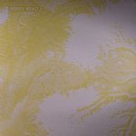 Gerry Read - Crave | Fourth Wave (4TH010) - main