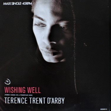 Terence Trent D'Arby - Wishing Well | CBS (CBS 650923 6)