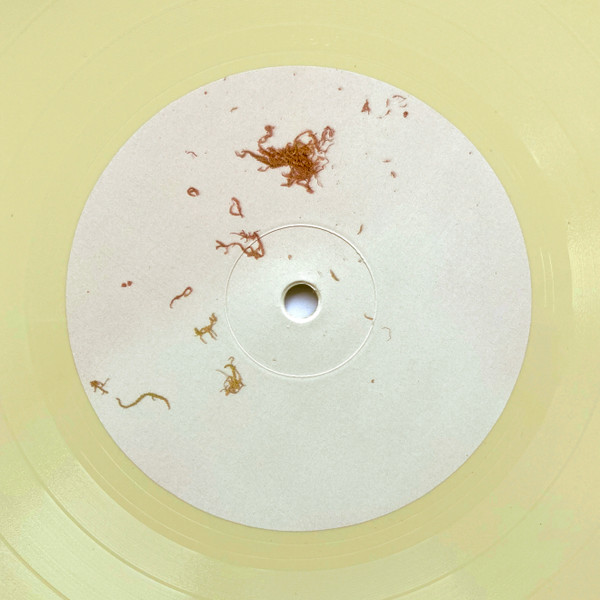 LOG - LOG ET3RNAL | Experiences Ltd. (LOG01) - 2 LOG - LOG ET3RNAL | Experiences Ltd. (LOG01) - 2