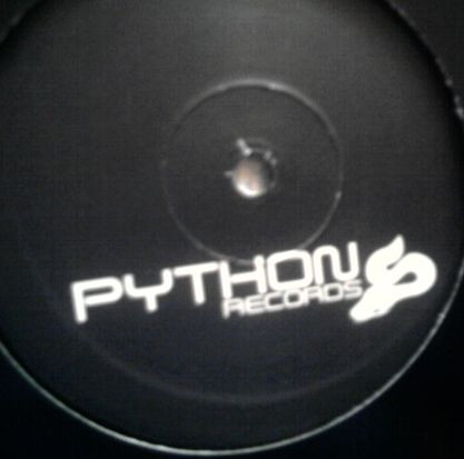 Future Funk - Wildberry Tracks | Python Records (PYT002)