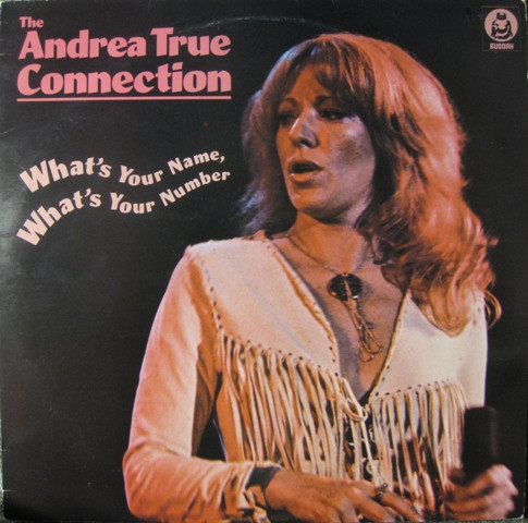 Andrea True Connection - What's Your Name, What's Your Number | Buddah Records (BDLP 4054)