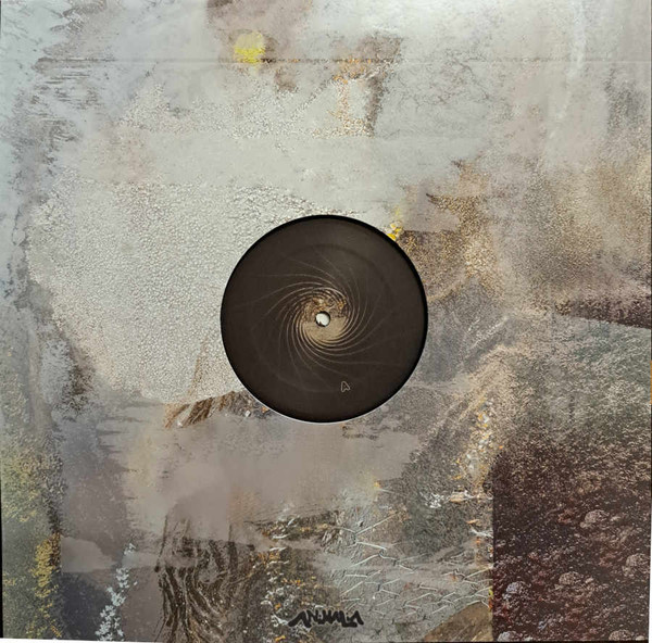 Aedis - Saense | Animalia (ANIMA18) - 2