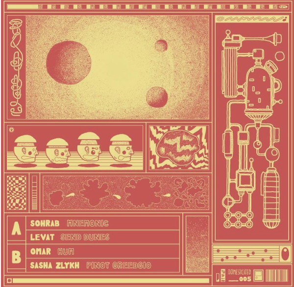 Various - Domesticated005 | Domesticated (Domesticated005) - 2