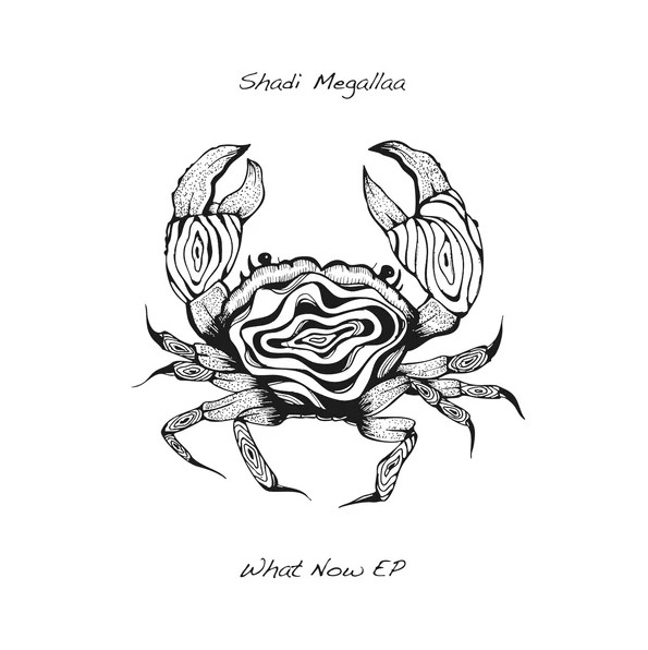 Shadi Megallaa - What Now Ep | Seaweed Rythm (SEAWEED006)