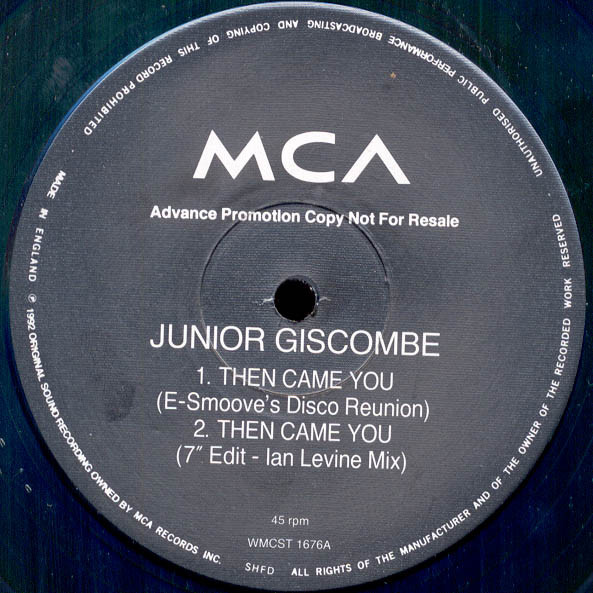 Junior Giscombe - Then Came You | MCA Records (WMCST 1676)