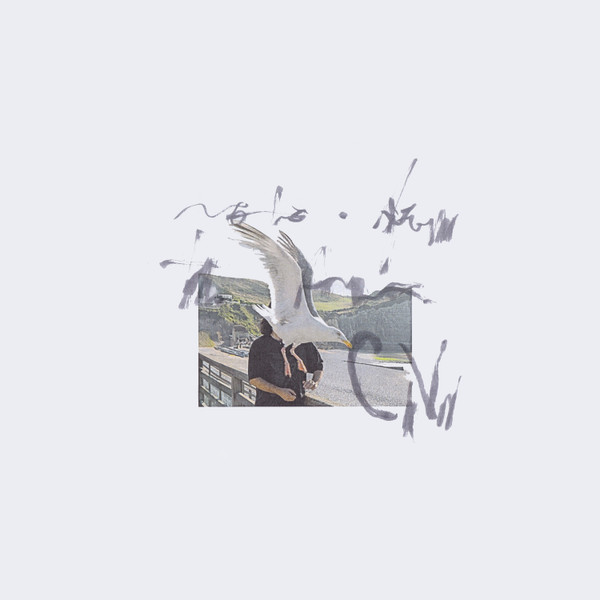 Ciro Vitiello - notes from the air | Stroom (STRLP-120) Ciro Vitiello - notes from the air | Stroom (STRLP-120)