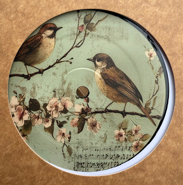 Putsch '79 - Birdz | The Comfort (CMF007)