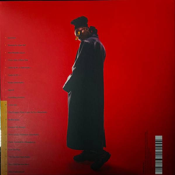 Little Simz - Sometimes I Might Be Introvert | Age 101 Music (AGE101002LP) - 2