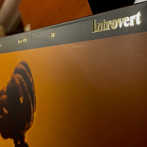 Little Simz - Sometimes I Might Be Introvert | Age 101 Music (AGE101002LP) - 3