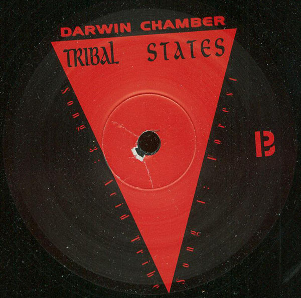 Darwin Chamber - Tribal States | Visible Records (vis 111) - 2 Darwin Chamber - Tribal States | Visible Records (vis 111) - 2