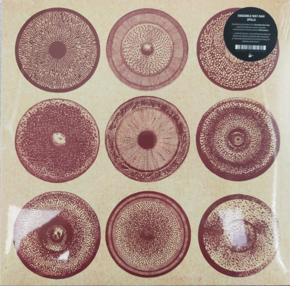 Ensemble Nist-Nah - Spilla | Black Truffle (BT130LP)