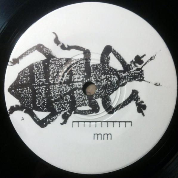 Rabbits / Matt Demmon - The Beetle | Eupholus Records (euph01) - 3
