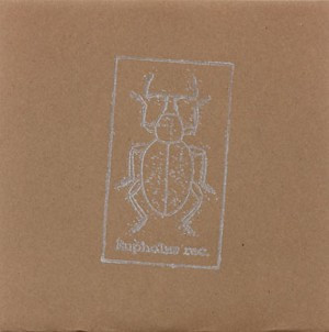 Rabbits / Matt Demmon - The Beetle | Eupholus Records (euph01)