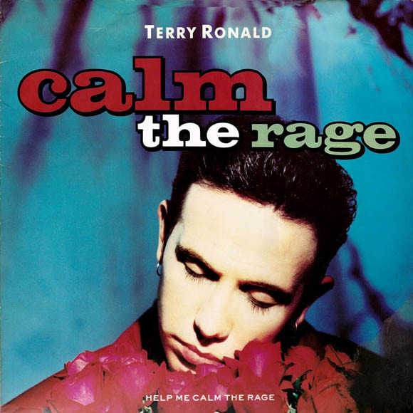 Terry Ronald - Calm The Rage | MCA Records (MCAT 1417)