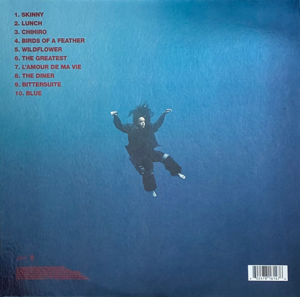 Billie Eilish - Hit Me Hard And Soft | Darkroom (602478161476) - 3 Billie Eilish - Hit Me Hard And Soft | Darkroom (602478161476) - 3