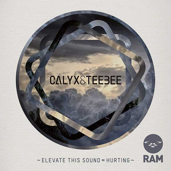 Calyx & TeeBee - Elevate This Sound / Hurting | RAM Records (RAMM 120)