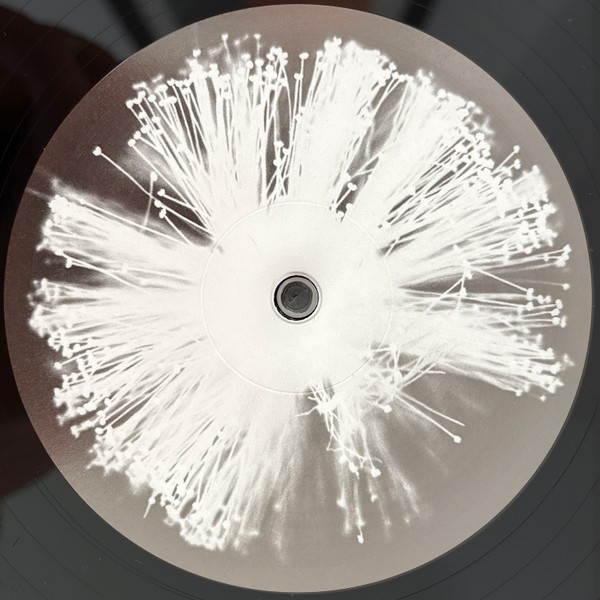 Four Tet - Into Dust (Still Falling) | XL Recordings (XL1554T) - 3