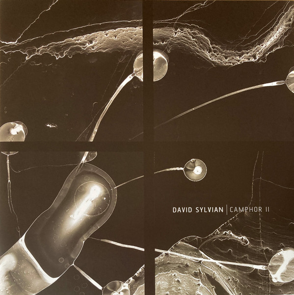 David Sylvian - Camphor II | Virgin EMI Records (752 687-9) David Sylvian - Camphor II | Virgin EMI Records (752 687-9)