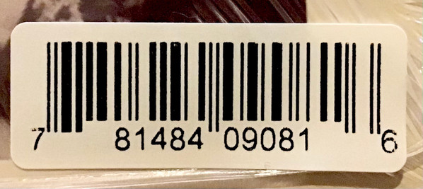 Dorothy Carter - Troubadour | Drag City (DC908) - 3
