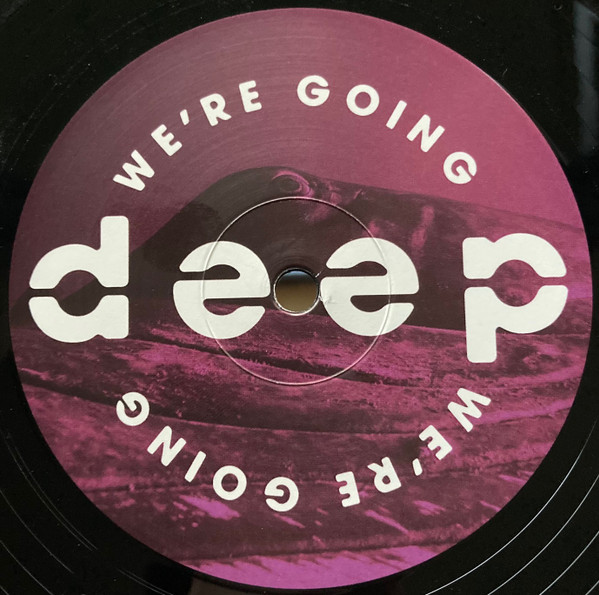 Various - Volume 4 | We're Going Deep (WGD 004) - 2