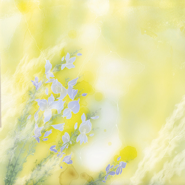 Prg/M - Lenta Ginestra | Sure Thing (MIST002)