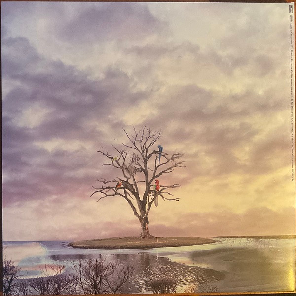 Alex G - God Save The Animals | Domino (WIGLP507) - 4