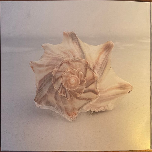 Alex G - God Save The Animals | Domino (WIGLP507) - 2