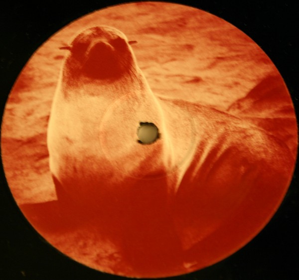 Seal - Killer (Lexicon Avenue Mix) | Not On Label (Seal) (SK1A)