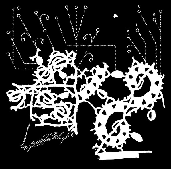 Organizatsiya - Vlug | Raakvlak (RKVLK003)