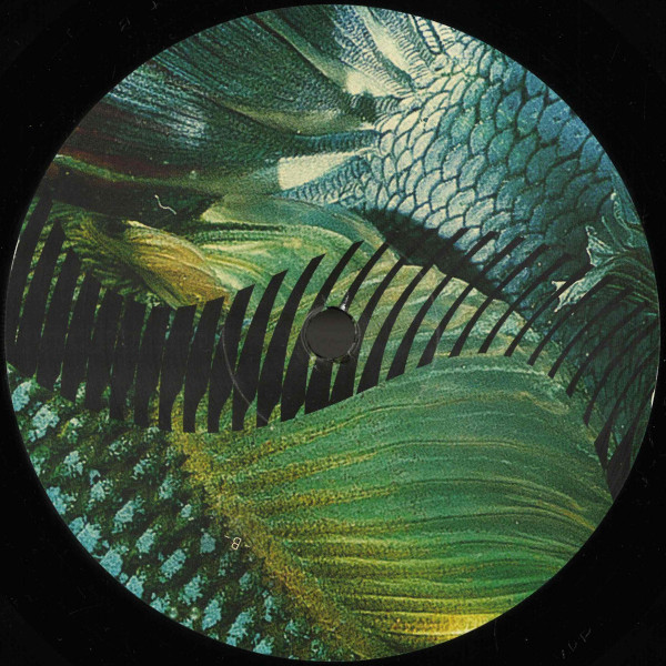 Gustavo Fridman - Dios Habla Hoy | Rhizome (RHZ004) - main