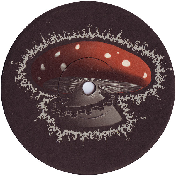 Zenith - The Flowers Of Intelligence | IST Records (IST017) - 2