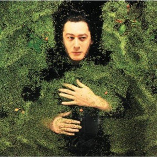 Alain Bashung - Fantaisie Militaire | Barclay (539 488-1)